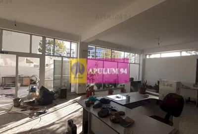 Centru de afaceri cu vad comercial - 2