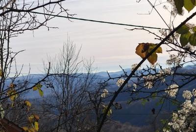 Teren intravilan Breaza 4,000mp cu  utilitati. Panorama superba. Intimitate. - 9