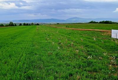 Teren Construcții intravilan de 590 mp, în Ilieni - 2