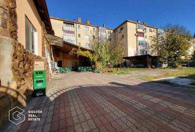 Casa cu teren de 842 mp, oras Lipova - 11