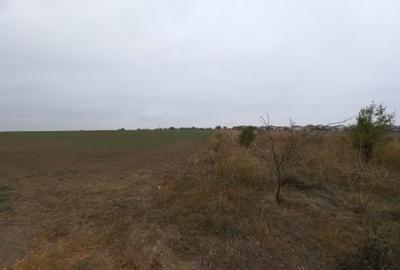 Teren de vanzare in Valu Lui Traian, Cartierul Nou - 403 mp - 2