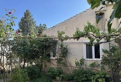 Casă cu Teren 954 Mp în Iosefin - 2