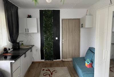 Casa de vanzare la tara - 3