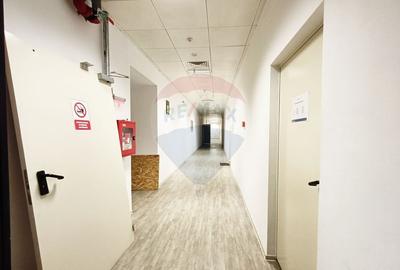 Inchiriere Spațiu Industrial/Productie | Mihai Bravu | Oportunitate! - 13