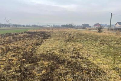 Teren de 4300 mp, în Cuzdrioara - 3