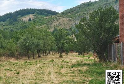 Teren Construcții intravilan de 1265 mp, în Bâltișoara - 8