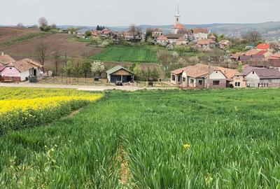 Casă cu 3 camere în Târnăveni - 5
