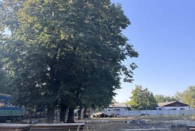 Casă cu 4 camere în Grădiștea - 14