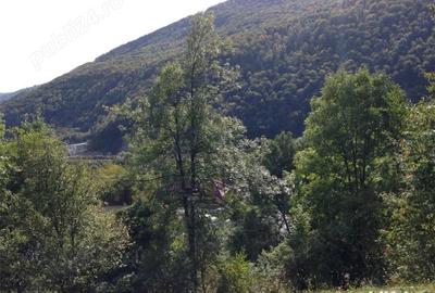 Okazie Vind casa in Sotrile toate utilitatile,teren 1200mp ,53000 E - 6