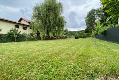 Casa pe parter la liziera padurii, Bascov-Florea, Arges - idealimob.ro - 4