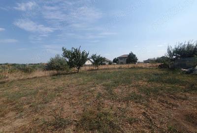 Teren intavilan curti constructii 500 mp Sat Costi 35 euro mp - 1