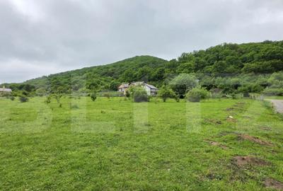 Teren intravilan de vanzare, 14,5 ari, zona Sud-Bistrita - 3