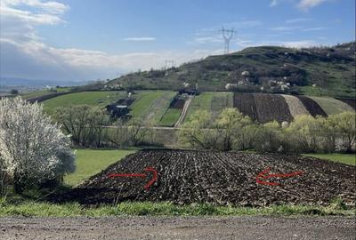 Spațiu comercial, în Lazaret - 2