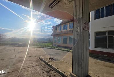 Spațiu comercial, de 400 mp, în Dupuș - 2