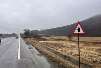 Teren de 10000 mp, în Căpușu Mare - 7