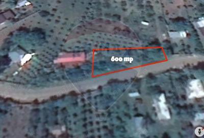 Casă cu Teren 1250 Mp în Dumbrăveni - 7