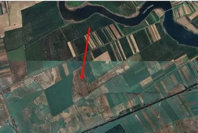 Teren de 4800 mp, în Grădinari - 2