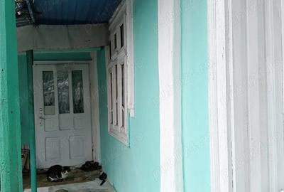 Casă cu 2 camere în Central - 8