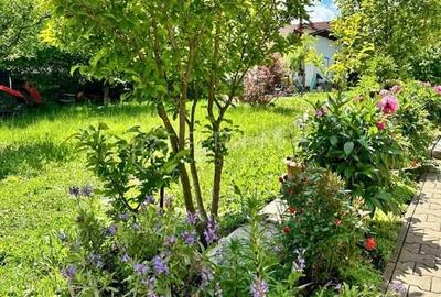 Casă cu 3 camere de închiriat pentru cazare muncitori, în Corunca - 21