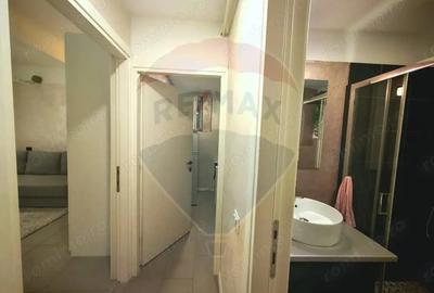 Garsoniera renovata complet - Locotenent Dumitru Lemnea 3 - 8