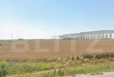 Teren intravilan, 18.802 mp, zona Carcea - 2