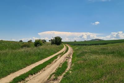 TEREN INTRAVILAN  BOD - 1200 mp pentru constructii case Sp+P+E+M - 13