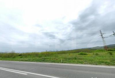 Teren de 6000 mp, în Central - 2