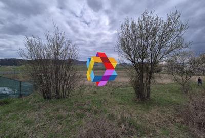 Teren cu PUZ pentru showroom/ hala - 4800 mp # plus-imo.ro - 3