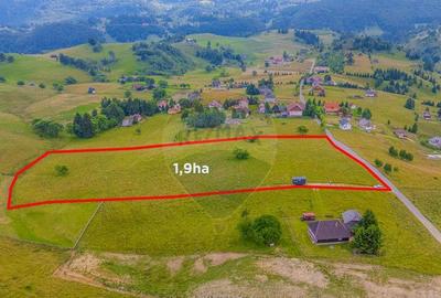 COMISION 0% Teren 19.300 mp/?irnea/ Oportunitate de inve... COMISION 0% Teren 19.300 mp/?irnea/ Oportunitate de inve... - 3