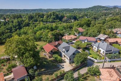 Casa de Maneciu Pamanteni, singur curte - 10