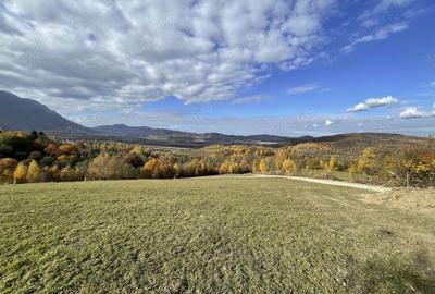 Teren de 500 mp, în Predeluț - 9