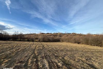 Spațiu comercial, în Bran - 8