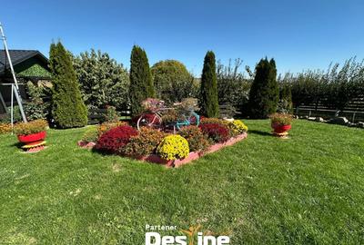 Proprietate spatioasa cu potential turistic in Bucovina Mica – Tatarusi, sat Uda - 3