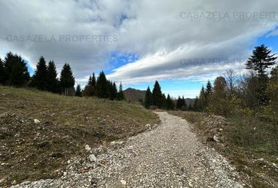 Teren in suprafata de 11 310  mp situat in Rasnov, Paraul Rece - 4