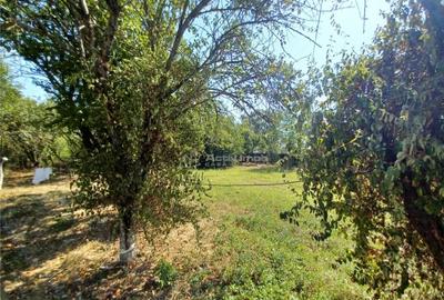 Casa Giurgiu- Ghimpati Sat Bila - 16