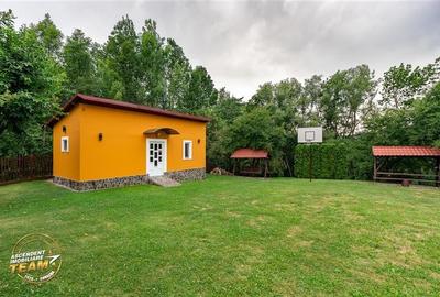 Ansamblu cu 2 case,piscina,1.700 mp domeniu verde,Lutoasa,Mereni,Covasna - 35