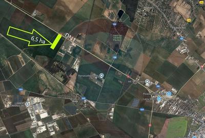 Teren agricol extravilan de 65000 mp, în Păulești