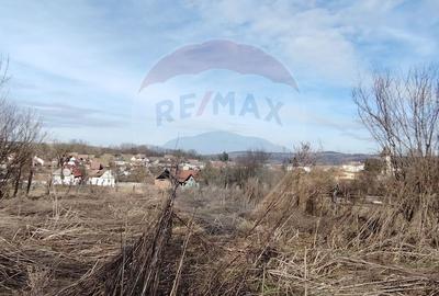 Casă cu 3 camere cu Teren 997 Mp în Laslea