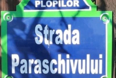 Teren de 3400 mp, în Valea Plopilor - 5