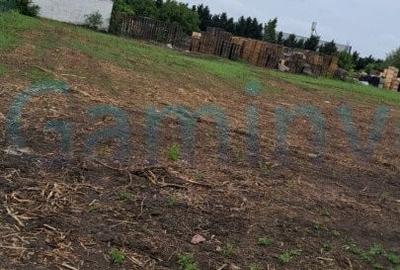 Teren construcție, în Borș - 2