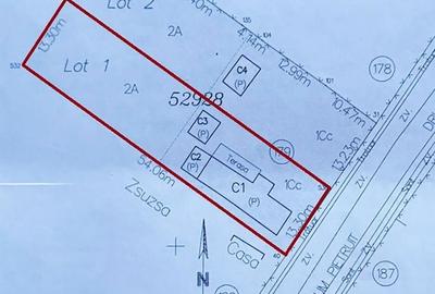 Casă cu 3 camere în Paleu - 1