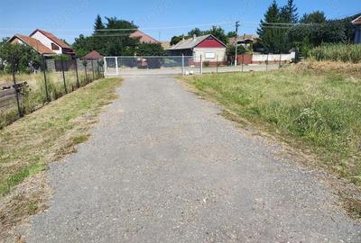 Spațiu comercial, de 972 mp, în Mișca - 7