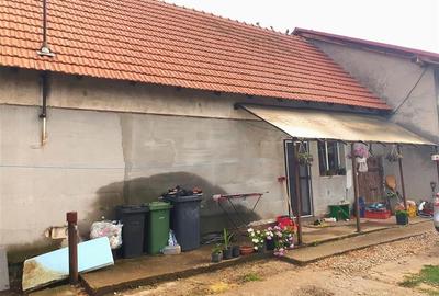 Teren Mare cu 2 case in Biharia. - 32