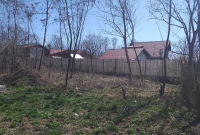 Teren Construcții intravilan de 650 mp, în Cornu de Sus (Cornu) - 6