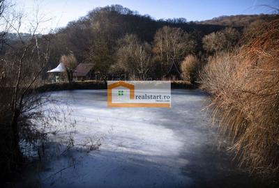 Centru Evenimente, Afacere la cheie, Restaurant cu MiniPensiune, 1,8ha teren - 18