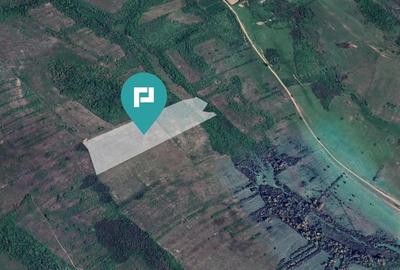 Teren arabil de 11,3 hectare in Bara, Timi? - 2