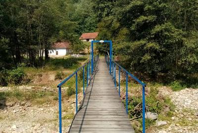 Casă cu 4 camere cu Teren 26000 Mp în Hălmagiu - 5