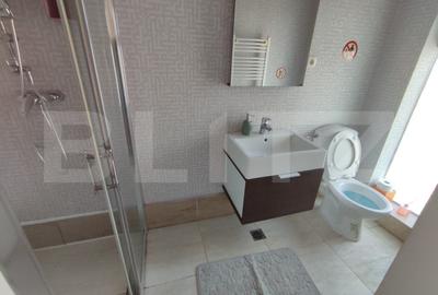 Casa vacanta 5 camere Paltinoasa, zona excelenta, in circuit turistic! - 20