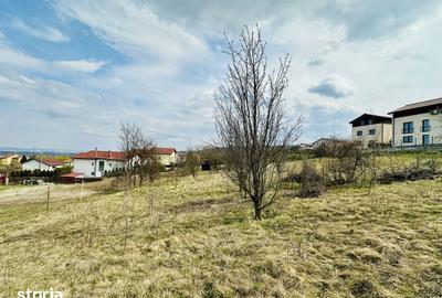 Teren de 655 mp, în Făget - 4