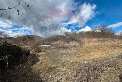 Teren de 2868 mp, în Săsar - 6